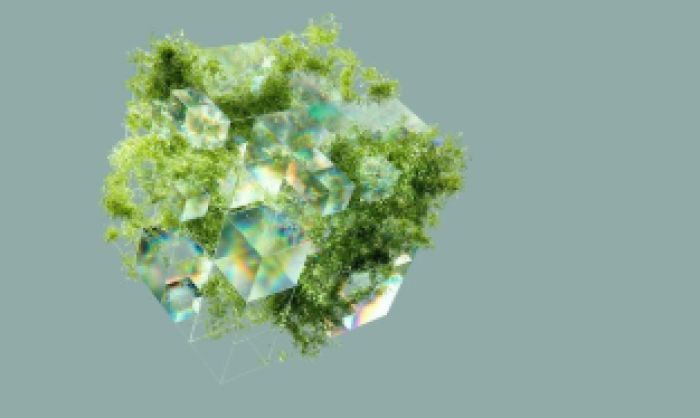 Түркістан облысында полигондардың 70%-ы экологиялық талапқа сай емес