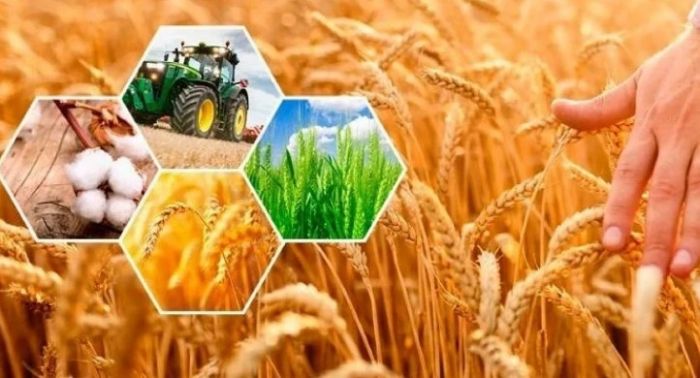 Елімізде ​ұлттық ауыл шаруашылығы санағы басталады