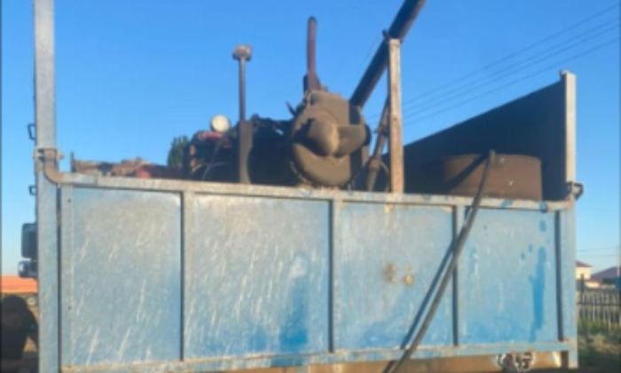 ​Шегіртке қаптап кетті: Қызылқоға ауданының фермерлері дабыл қағуда