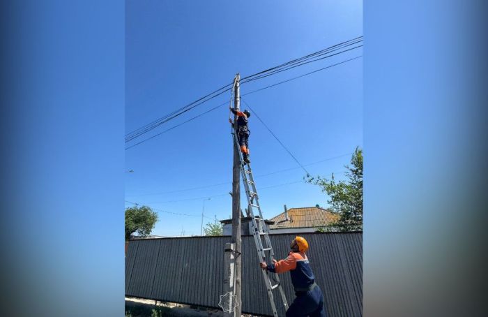 Дамбыда электр бағанына шығып кеткен мысық құтқарылды