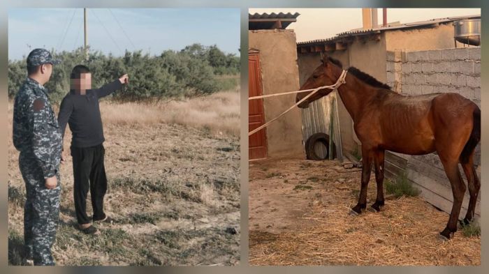 Түркістан облысында мал ұрлығымен айналысқан күдіктілер ұсталды  