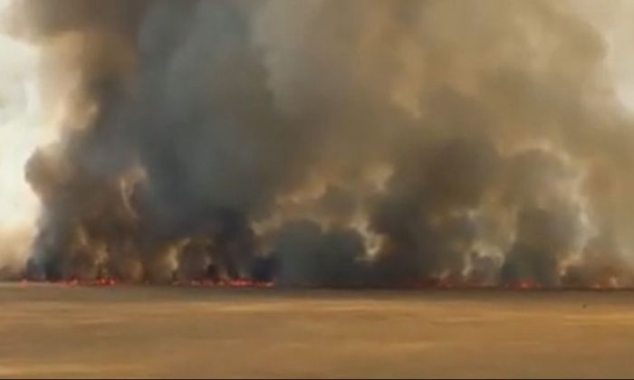 ​Атырау облысында қамыс өрті сөндірілді