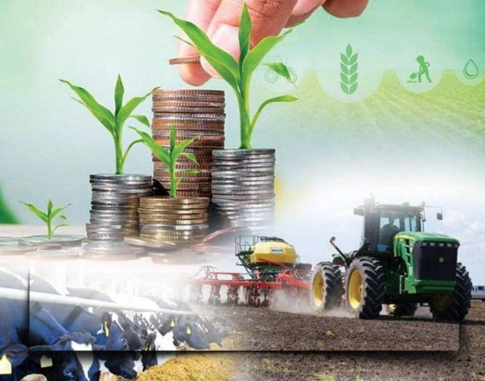 Елімізде ауыл шаруашылығы өнімінің көлемі 4%-ға өсті