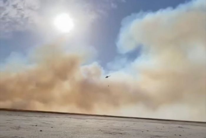 Атырауда «Ақжайық» резерватындағы өрт дерегі бойынша қылмыстық іс қозғалды