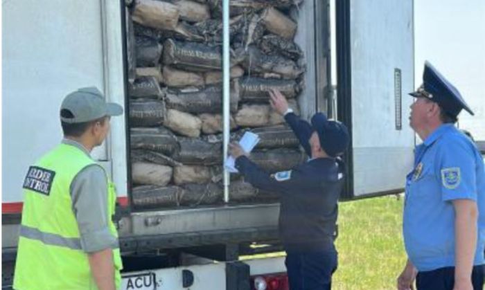 Атырауға Самарадан заңсыз жұмыртқа әкелу әрекеті тоқтатылды