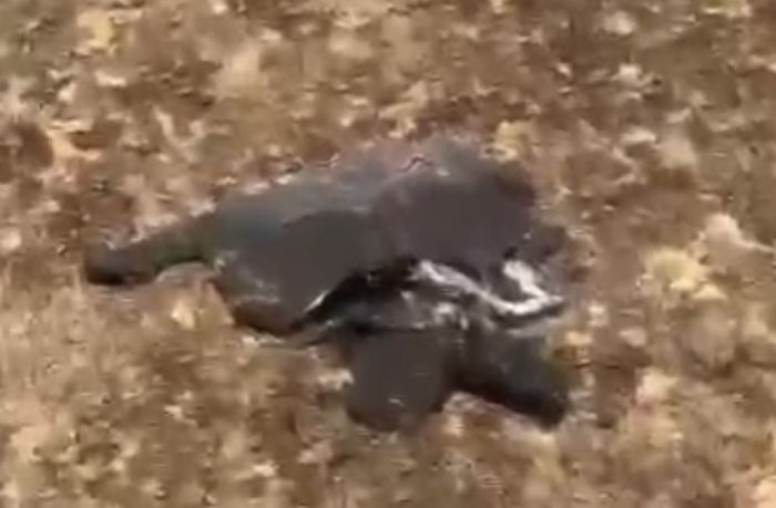 Құрманғазы ауданында ұшқышсыз аппарат сынықтары табылды