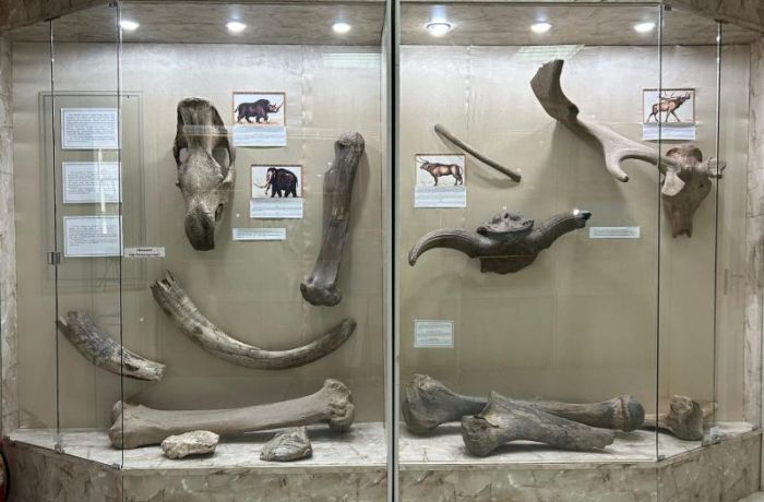 Мыңжылдықтар қойнауынан: ежелгі алыптардың сүйегі Жайық жағасынан​ табылған