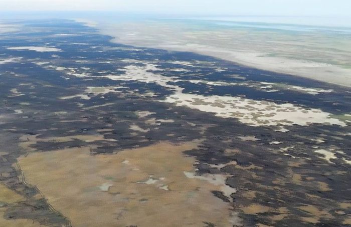 «Ақжайық» резерватындағы қамыс өрті толық сөндірілді