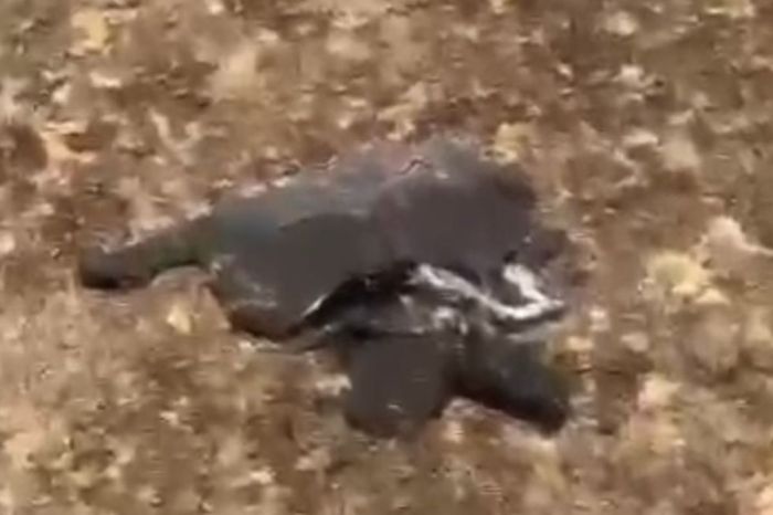 Атырау даласында құлаған нысанның не екенін комиссия анықтап жатыр