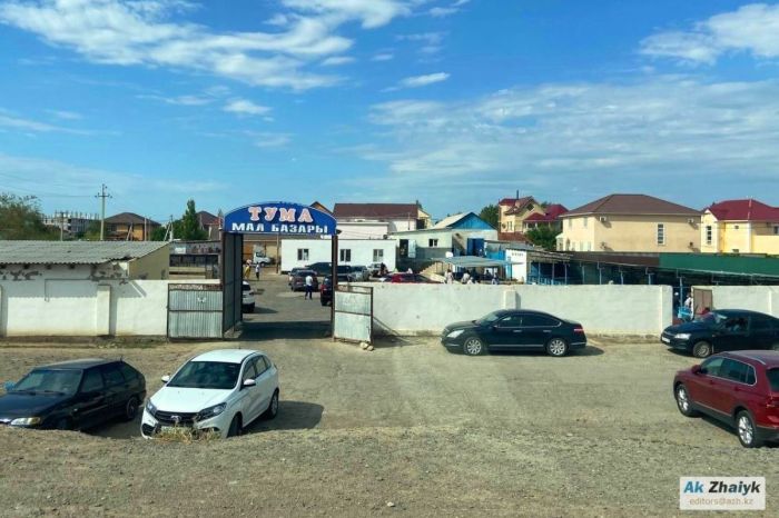 Атырау әкімдігі мен СЭС «Тума» базарының мәселесін шеше алмай отыр
