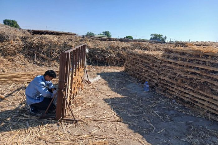 Қамысты кәсіп қылған​ ауыл