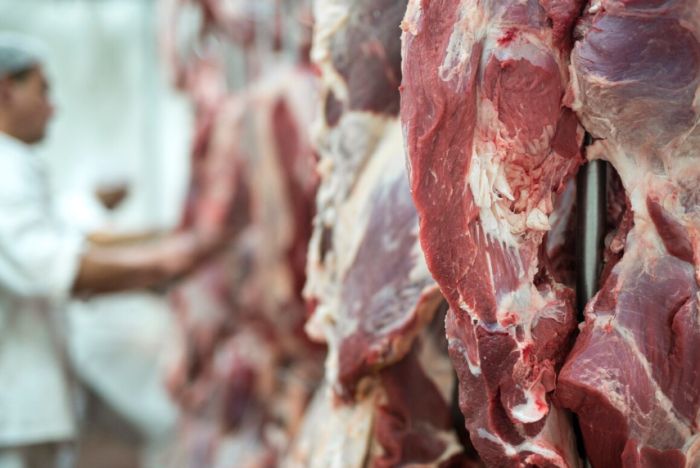 Астанада мал етіне қатысты ақпарат жалған – жағдай бақылауда