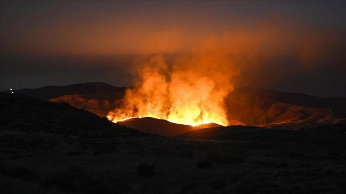 ​Калифорниядағы орман өрті 22 мың гектардан астам аумақты шарпыды