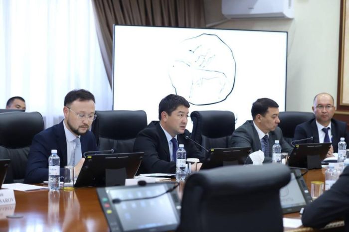 Маңғыстауда сұйытылған табиғи газ және метанол өндіретін зауыттар салынады