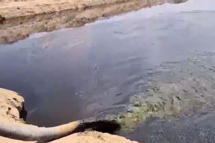 Теңіз маңындағы мұнай төгіндісі: экология департаменті рұқсат берілмегенін мәлімдеді