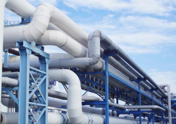 Прокуратура отандық өндірушіге  көмек көрсетті