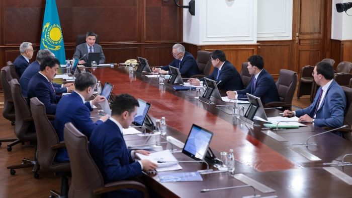 ​Премьер-министрдің орынбасары мен туризм министрі ​президенттің сынынан кейін өңірлерге шығады​