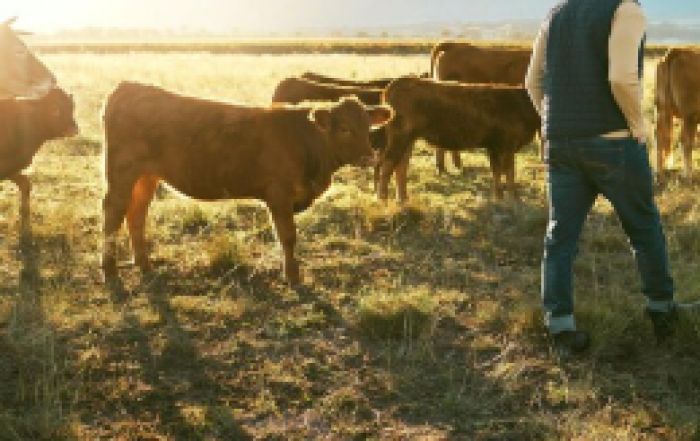 Павлодар облысында прокурорлар инвесторға көпжылдық берешекті өндіріп алуға көмектесті