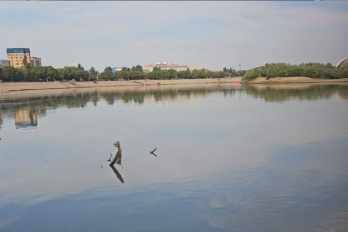 Жайыққа ау құрылған: тұрғындар дабыл қақты