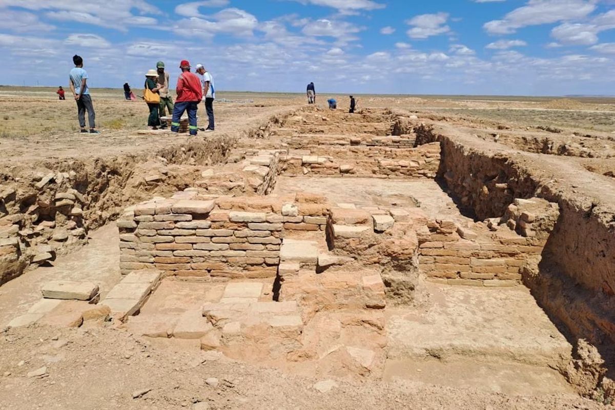 Шырынды кисканың жақын жоспары