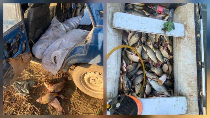 ШҚО-да тыйым салынған аймақта балық аулаған 5 күдікті ұсталды