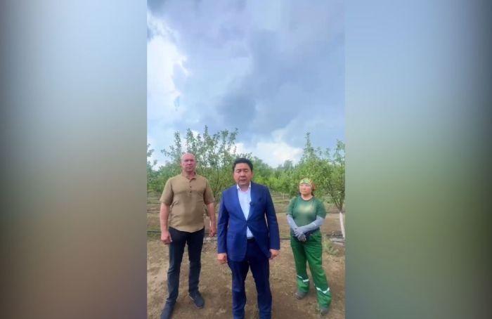 Қала әкімі жасыл желектерге ұқыпты қарауға шақырды