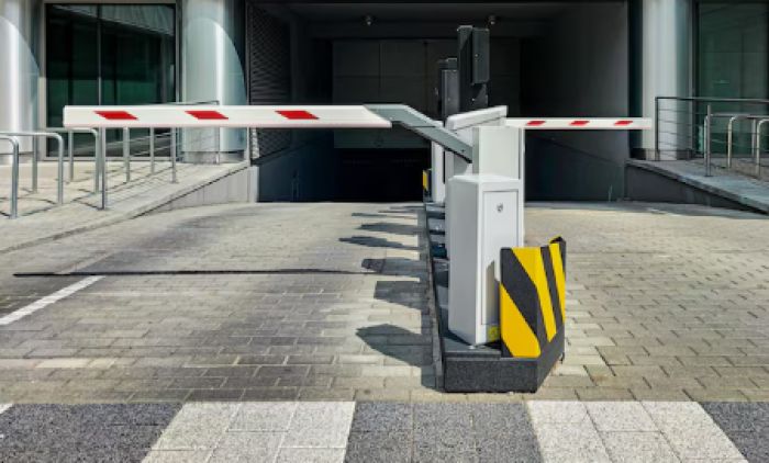 Инвестиция түріндегі бизнес-жобаға ақша салуды ұсынған алаяқтық схеманы ұйымдастырушы сотталды