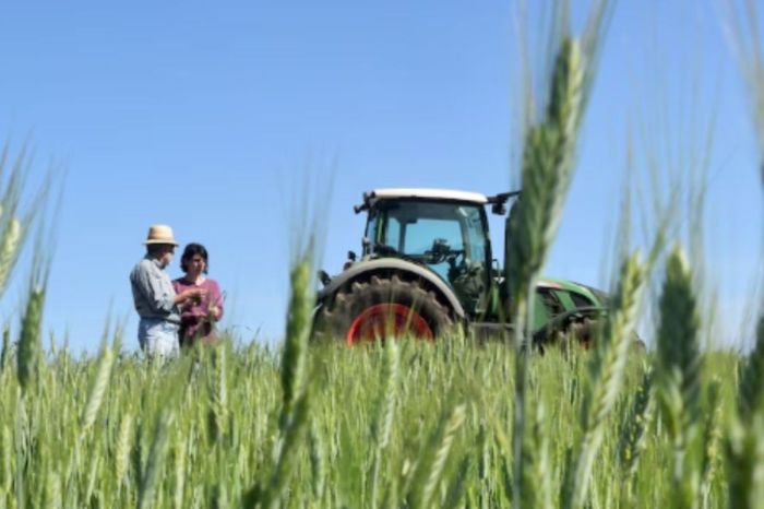 Атырау облысында Ұлттық ауыл шаруашылығы санағы басталды