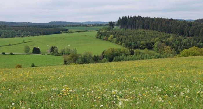 128 мың гектардан астам пайдаланылмай жатқан жер мемлекет меншігіне қайтарылды