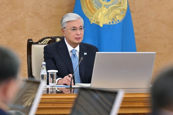 Экономика, медицина және мемлекеттік қызметтегі ЖИ: Тоқаев тоғыз басым бағытты атап өтті