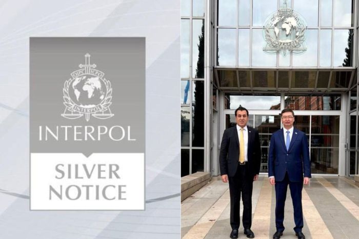 ​Интерпол активтерді Қазақстанға ​қайтару үшін «Күміс хабарламасын» қолдана бастады