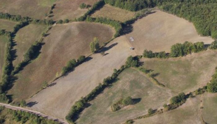 Кәсіпкерлерге негізсіз есептелген салық төлемдері қайтарылды