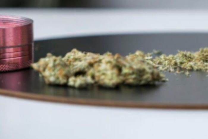 ​Көкнәр тұқымын сатқан 5 азамат сотталды