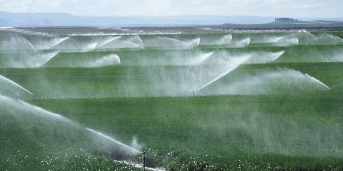 ​Қазақстанның оңтүстік облыстарында егіс алқабын суаруға жоспарланған су көлемінің 98%-ы алынды 