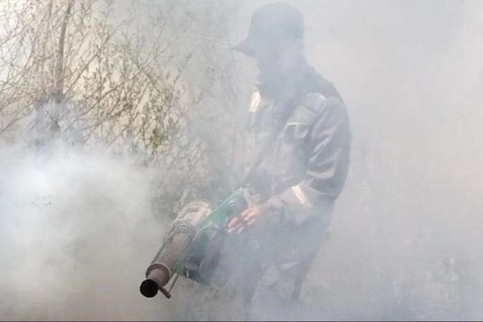 «Терезелер ашық еді»: Атырауда түнде масаларды улаған кезде адамдар зардап шекті