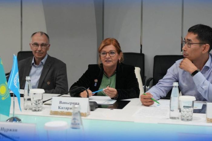 Сегіз су қоймасы және 115 канал: БҰҰДБ Қазақстандағы су мегажобасына қосылады