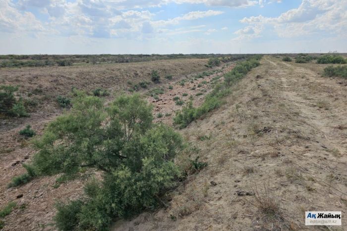 Ақай каналы керек пе?