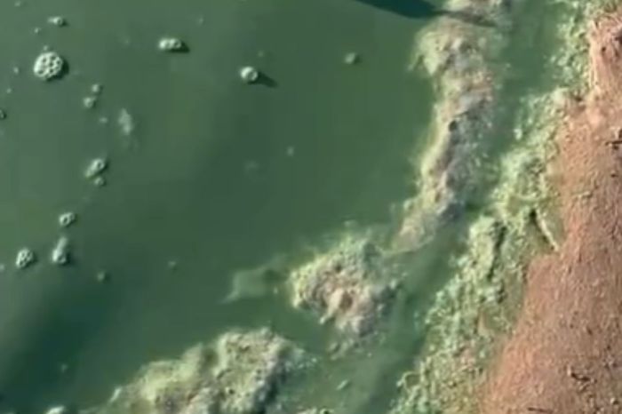 «Бұл қалыпты ма?» — атыраулықтар Жайық cуының түсін талқылауда