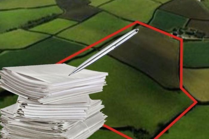  Атырау облысында Құлсарыдағы қайғылы оқиғадан кейін жанармай құю станцияларытексерілді