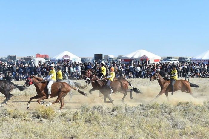 Ұлттық спорт олимпиадалық спортқа теңестірілді: 11 ұлттық спорт түрі ресми тіркелді