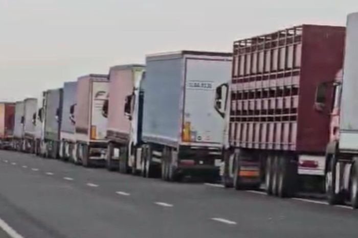 Тоқаев: автокөлікпен жүк тасымалдаушыларға шекара маңындағы қызмет сапасын жақсартып, Smart Cargo-ны іске қосқан жөн