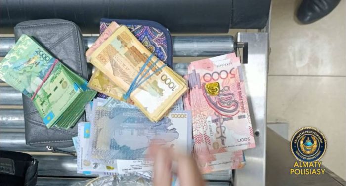 Алматыда полицейлер ірі көлемдегі интернет-алаяқтықтың алдын алды  