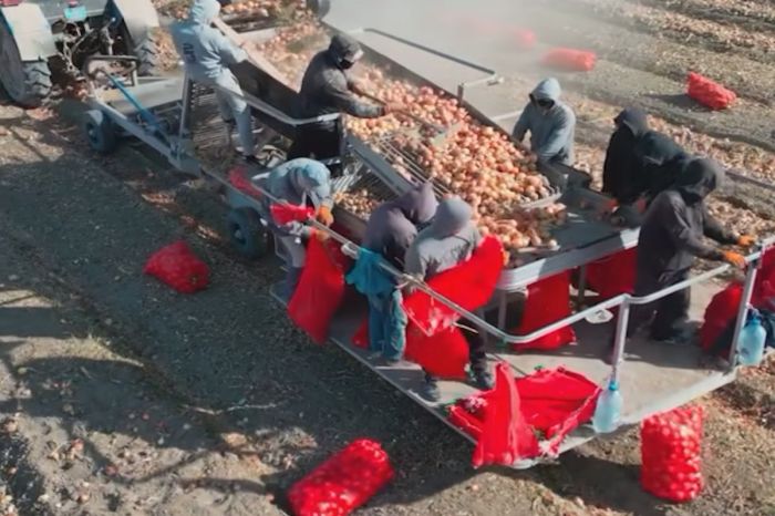 ​Өңір диқандары 100 мың тоннадан астам өнім жинады