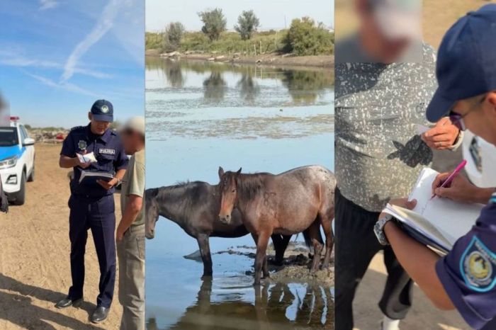 Атырауда «Учаске» шарасы аясында 400-ден астам қыстақ пен шаруа қожалығы тексерілді