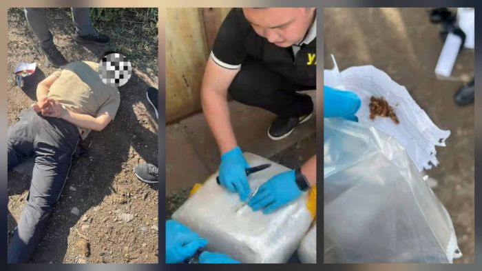 Екібастұзда полиция есірткі жеткізу арнасының жолын кесті  