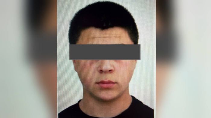 Шымкентте полиция ірі қылмыстық схеманы әшкереледі  