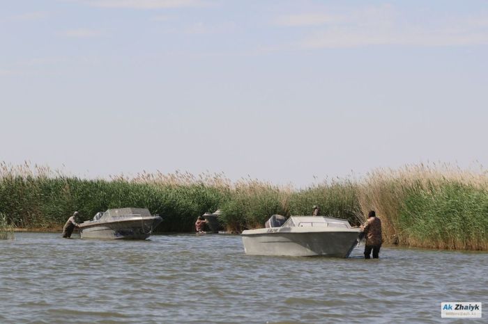 Каспийдегі браконьерлік 25 миллион теңге айыппұл әкелді 