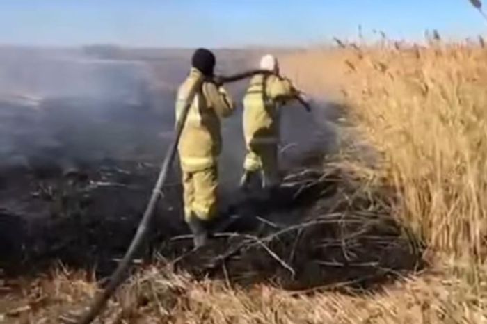 Новокирпичный ауылы маңында тағы да қамыс өртенді