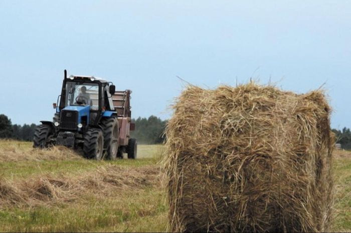 Қыс келіп қалды. Атырау облысында мал азығы дайындалып жатыр