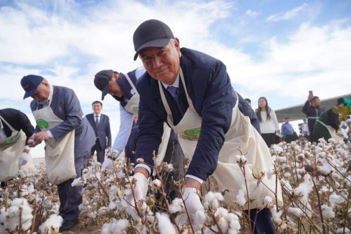 Түркістан облысында «AQ-DALA» мақташылар фестивалі өтті